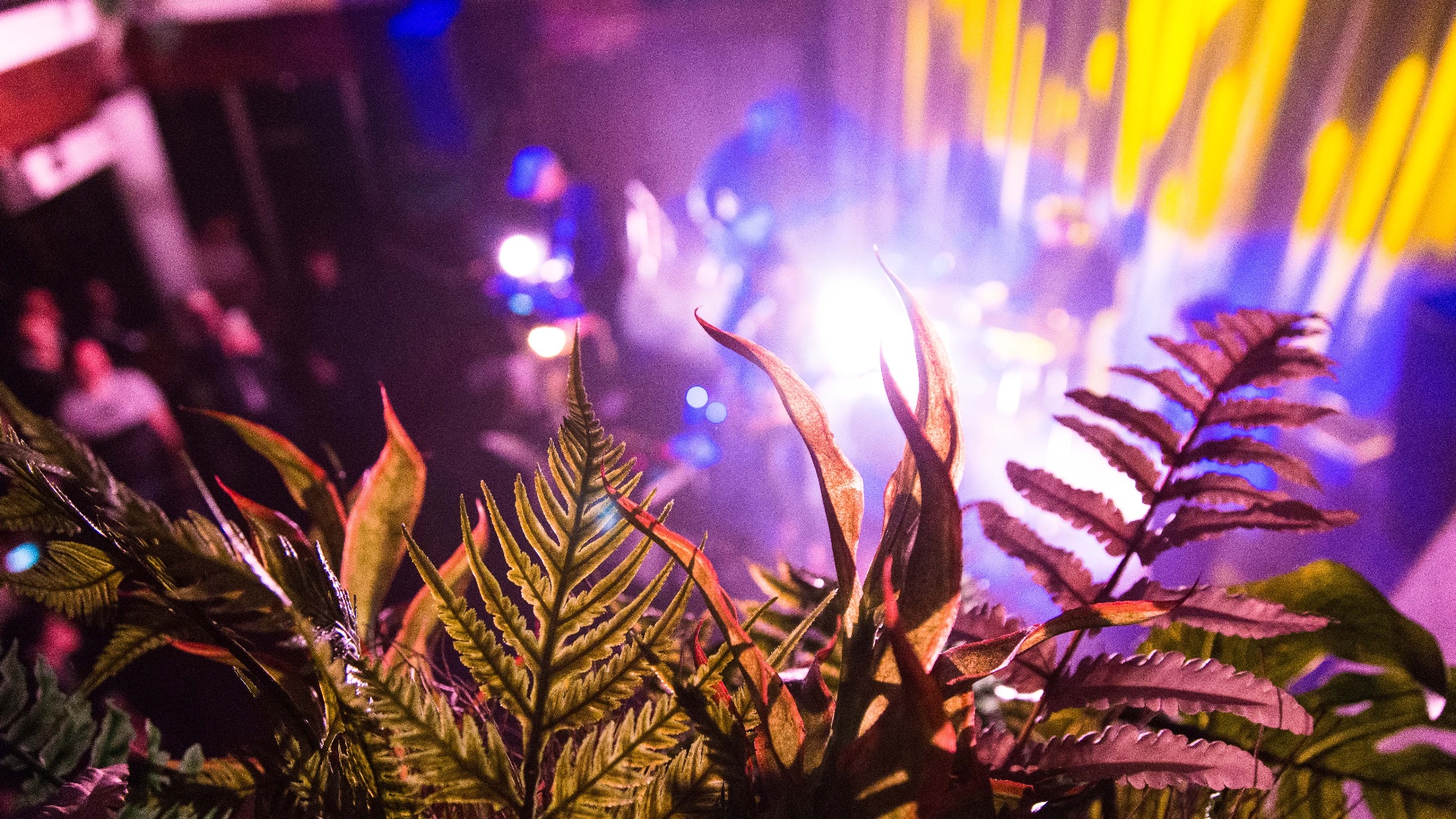 Atlantis Basel © Anaïs Steiner 2019