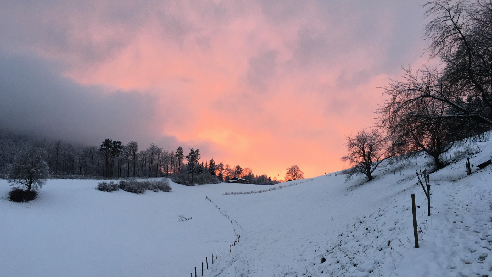 Ob Waldenburg im Dezember 2020 © Mo Zimmerli