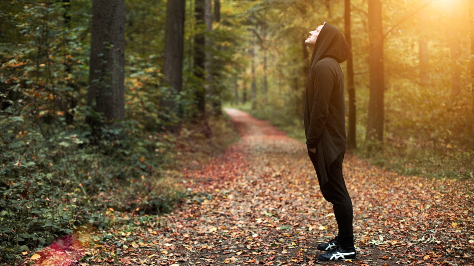 Baum © Remo Buess 2017