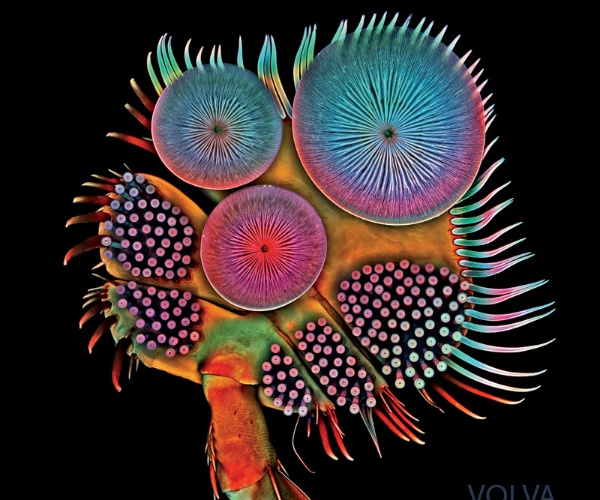 Echolot: Der Sound aus den Tiefen des Weltalls und der Ozeane